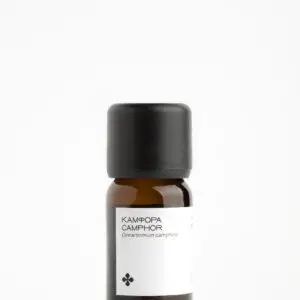 Camphor Essential Oil 10ml