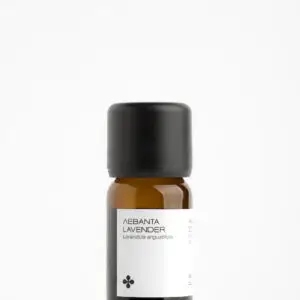 Lavender Essential Oil 10ml